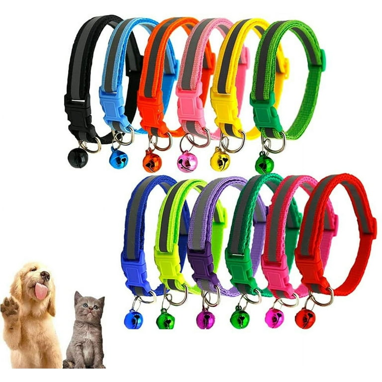 Litter identification collars outlet