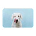 thumbnail image 1 of Puppy Licks Nose Front Door Mat, Indoor Mats for Bedroom Bathroom Kitchen, Floor Mat Non-Slip, Soft Carpet Floor Cover Machine Washable Entryway Mat - 20x31.5in, 1 of 5