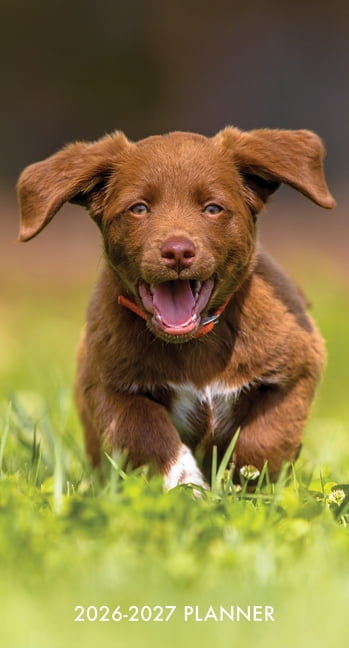 Puppy Love 2-Year 2026-27 3.5 X 6.5 Monthly Pocket Planner, (Paperback)