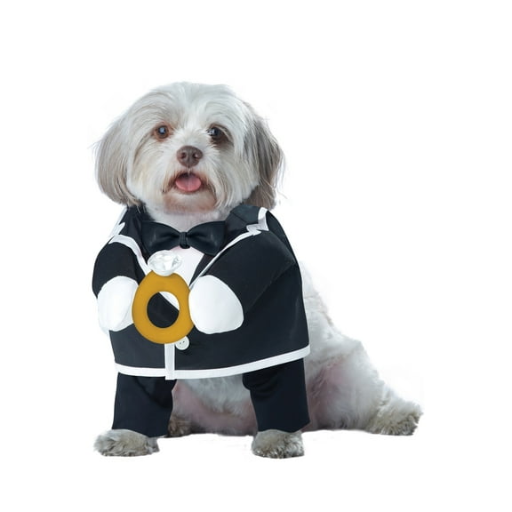 Puppy Love-Groom Dog Costume