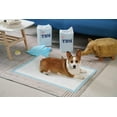 thumbnail image 1 of Puppy Pads 100 Count - 23.6" x 23.6"  Absorbent Leak-Proof Pet Training Essentials, 1 of 9