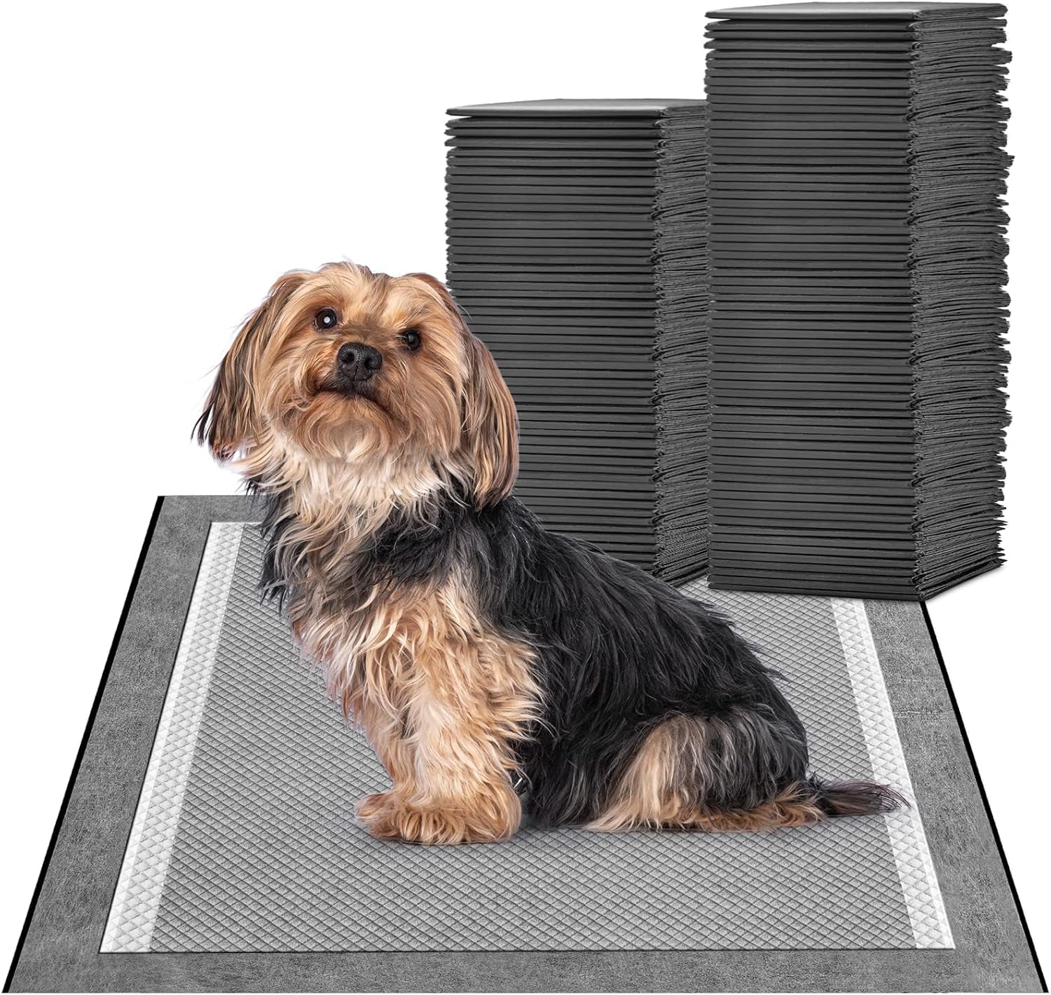 Puppy Pads for Dogs 23X24in Pet Pads, Charcoal Odor Eliminating Wee Wee Pads for Dogs Absorbs Up to 4 Cups Urine, 6 Layers Leak-Proof Puppy Pads Pet Training Pads (40 Counts)