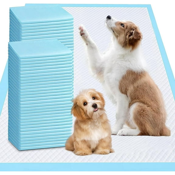 Puppy Pads Extra Large Dog Pee Pads 23"x35"40 Count X-Large Puppy Pee Training Pads Super Absorbent Pee Pads for Dogs & Leak-Proof Dog Pads Disposable Pet Piddle and Potty Pads for Puppies Dogs