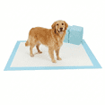 thumbnail image 1 of 40 Count 24"x24" Large Pee Pads for Dogs, Puppy Training Pads Housebreaking Big Wee Wee Pads Disposable Absorbent & Leak-proof for Puppies Dogs Potty Training, 1 of 6