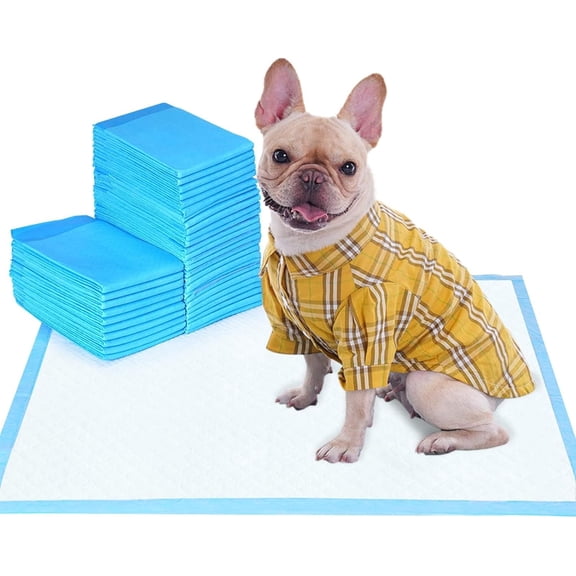 Puppy Pads and Dog Pee Pads 22"x22" - 100 Count Regular Size - Super Absorbent & Leak-Free Wee Wee Pads for Dogs and Pet Training Pads