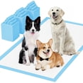thumbnail image 1 of Puppy Pads for Dogs 28"x44" (11), 1 of 6