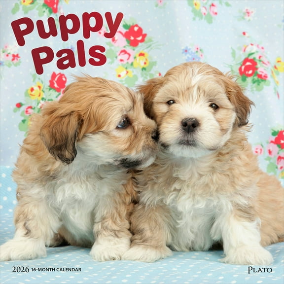 Puppy Pals | 2026 12x24" (Hanging) Monthly Square Wall Calendar | Plato