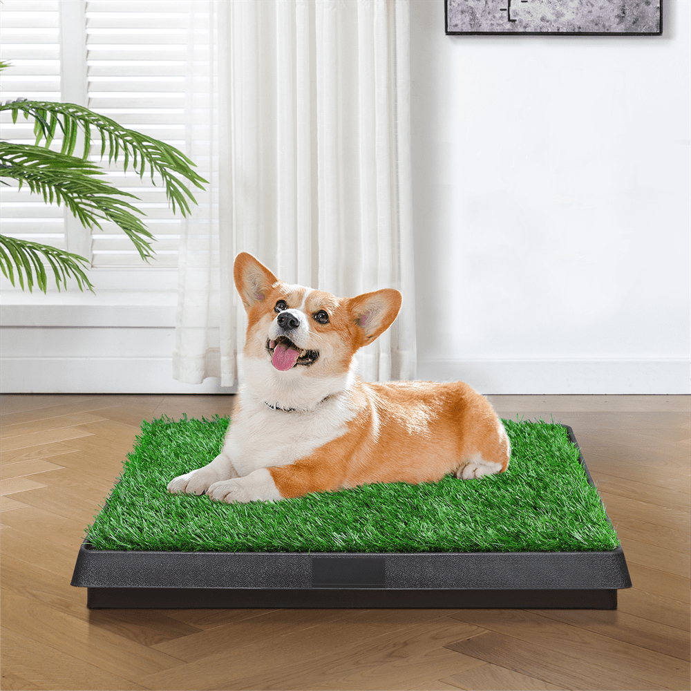 Indoor potty top pads for dogs