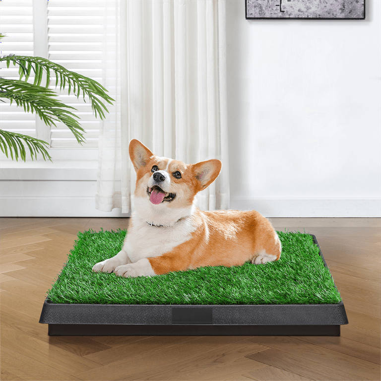 Grass puppy top training mats