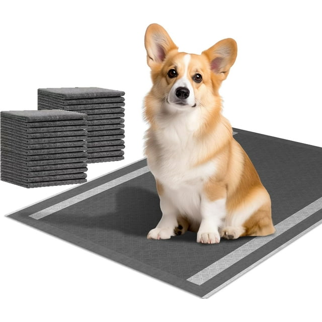 Puppy Pee Pads 100 Count, 23'' x 23'' Charcoal Dog Pee Pads, Leak-Proof Quick-Dry Strong Absorbency for Potty Training