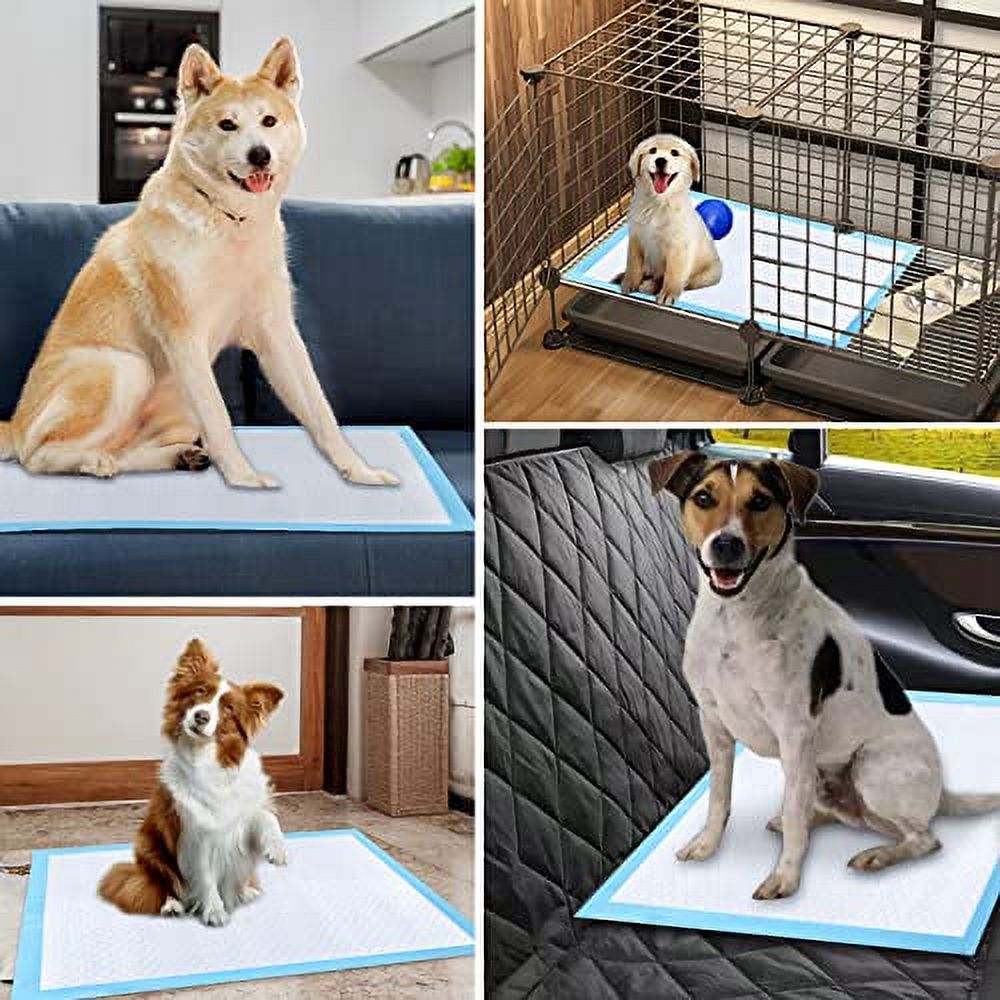 Puppy Pee Pads, Powerful Absorbency, 6Layer Design,Pads LeakProof