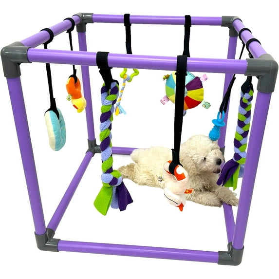 Puppy Play Gym for Small Dogs with 8 Hanging Toys, Jungle Playground with Interactive Funny Enrichment Toys to Keep Them Busy