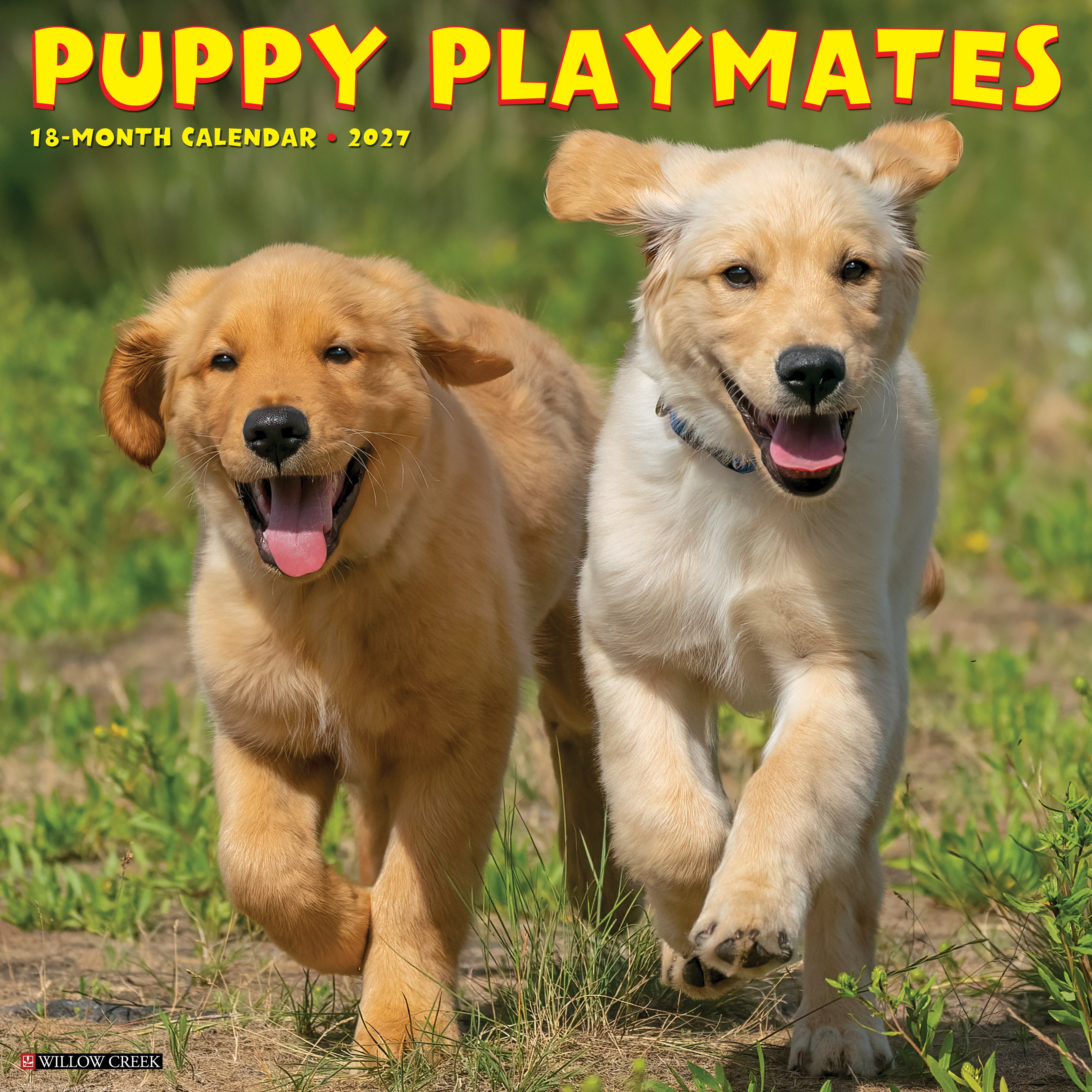 Willow Creek Press, Puppy Playmates 2027 Wall Calendar