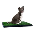 thumbnail image 1 of Puppy Potty Trainer 20" x 25" - The Indoor Restroom for Pets, 1 of 3