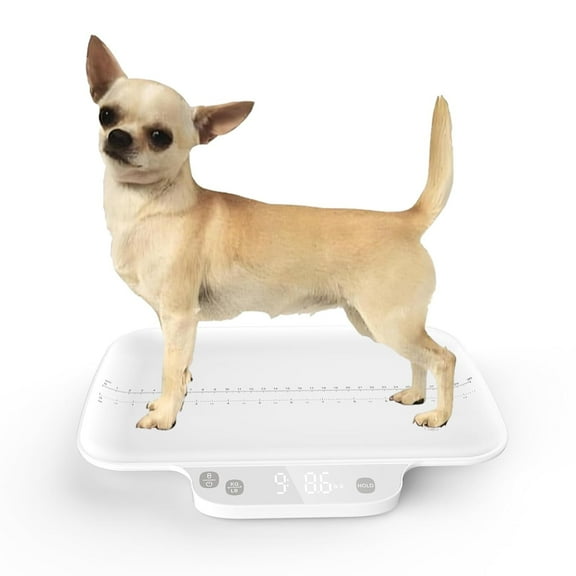 Puppy Scale For Small Animal,with Hold funtion,Kitten Scale, Accuracy1g/0.035 oz, Max15 kg / 33 lbs, Suitable for Newborn Pets, Kitten,Chihuahua,Cats