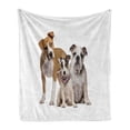 thumbnail image 1 of Puppy Soft Flannel Fleece Throw Blanket, Funny Studio Shot Photo of Various Breeds of Dogs Middle Wears Scarf Print, Cozy Plush for Indoor and Outdoor Use, 50" x 60", Multicolor, by Ambesonne, 1 of 5