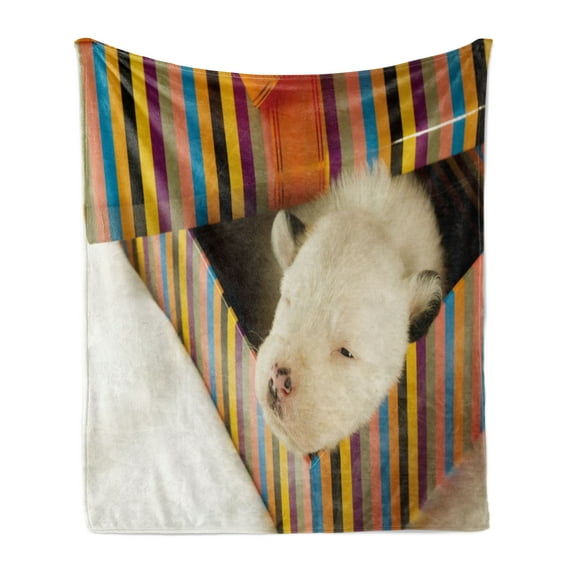 Puppy Soft Flannel Fleece Throw Blanket, Photo with Newborn Dog Sleeping in a Colorful Striped Gift Box Print, Cozy Plush for Indoor and Outdoor Use, 70" x 90", Multicolor, by Ambesonne