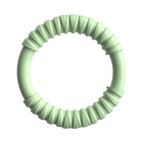 Puppy Teething Chew Toy 4.72 Inch for Small Dogs, Durable TPR Ring Toy for Teething Relief, Interactive Play Dental Health, Training Reward for Puppies, Dog Toys, Green