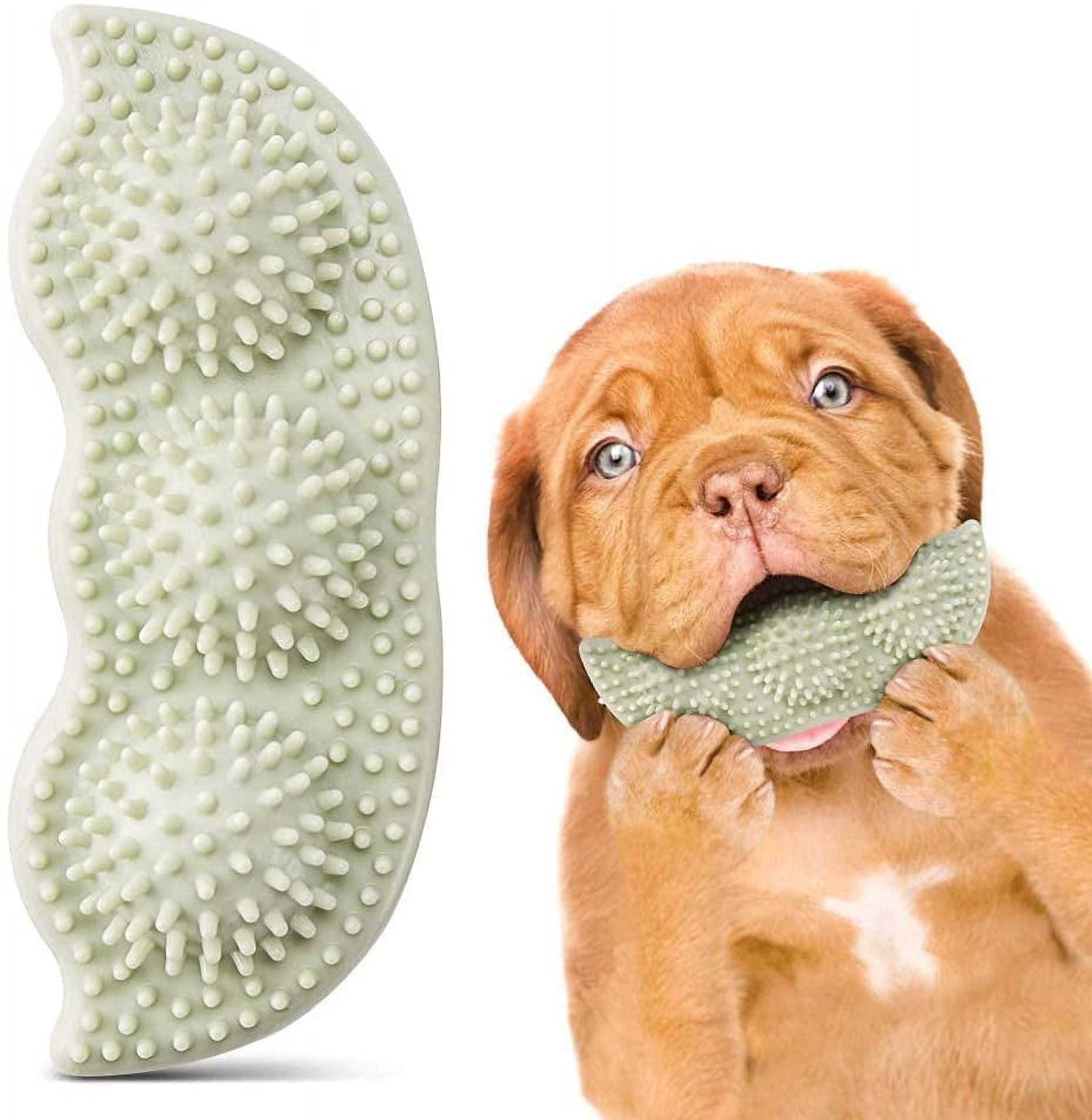Best Chew Best Toy For Teething Puppy Best Teething Puppy Toys Of