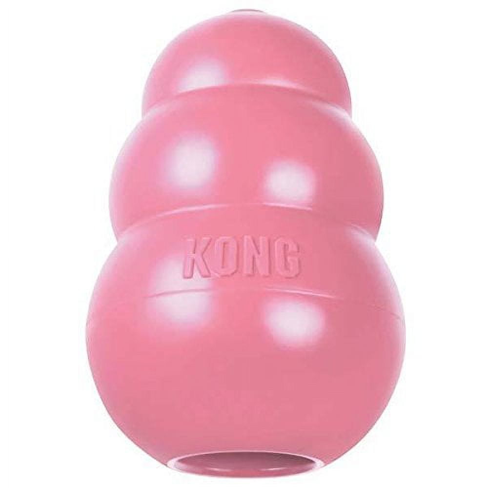 Kong 2024 teething toys