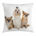 thumbnail image 1 of Puppy Throw Pillow Cushion Cover, Chihuahua and Maltese Breed Dogs Look Same Direction on Plain Backdrop, Decorative Square Accent Pillow Case, 16" X 16", Pale Brown Pale Tan White, by Ambesonne, 1 of 2