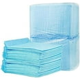 thumbnail image 1 of Puppy Training Pads, pet Pee pad，Diaper，Thickened Water Absorption，Disposable Blue (50, Large 22.8*16.9 inch), 1 of 7