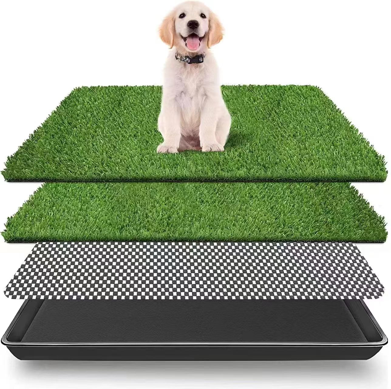 Puppy turf hotsell