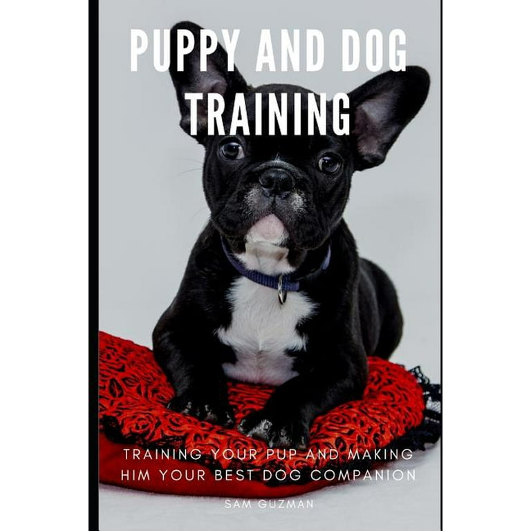 Best dog trainer device 2025