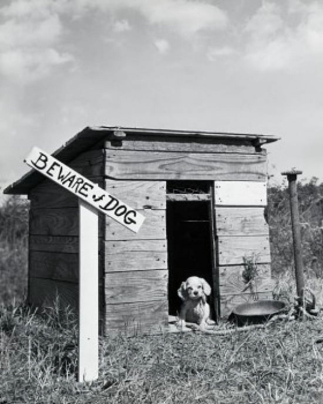 Puppy in a dog house Canvas Art - (24 x 36)