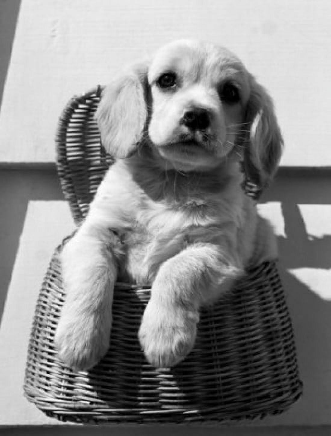 Puppy in basket Canvas Art -  (18 x 24)