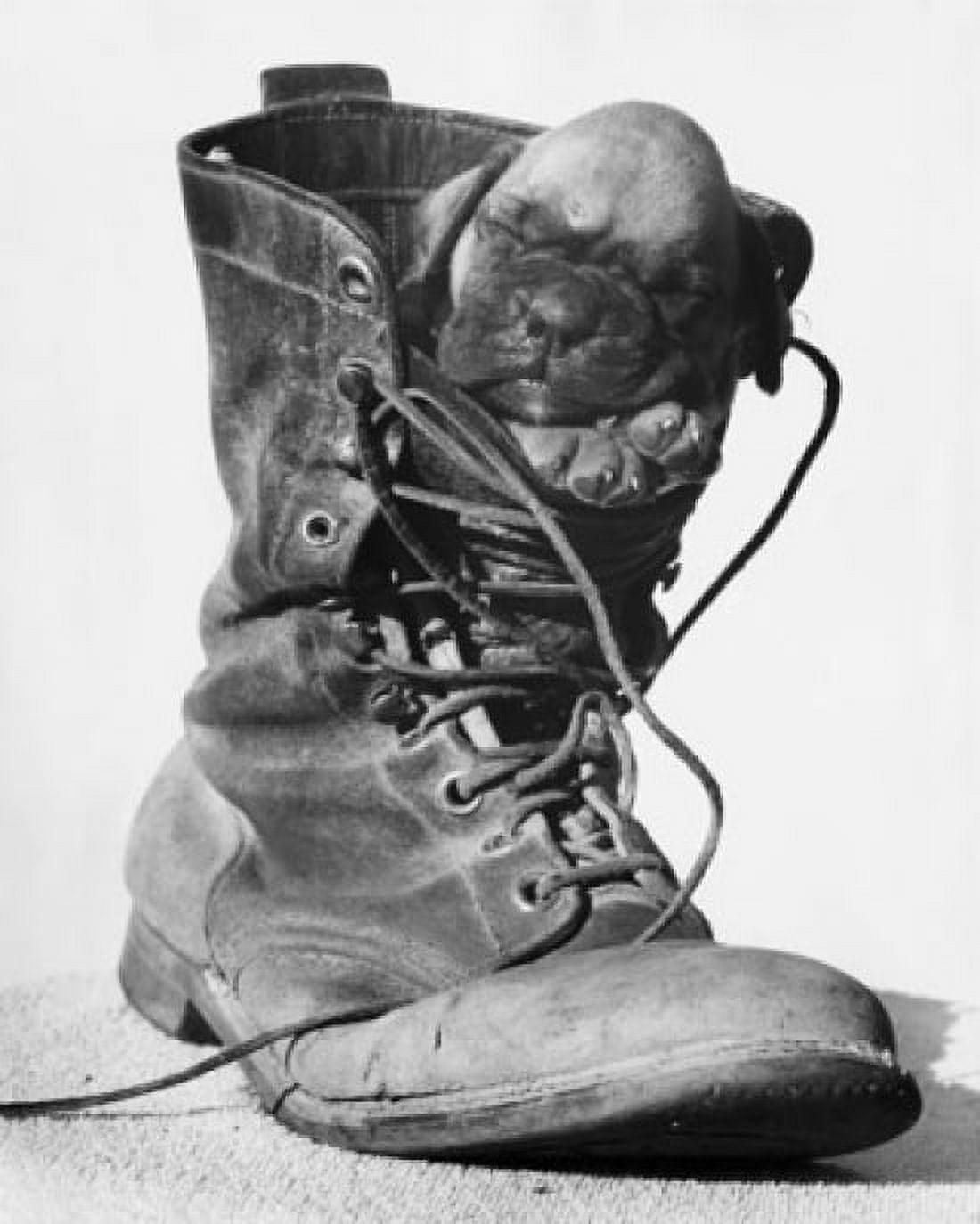 Puppy sleeping in a boot Canvas Art - (18 x 24)