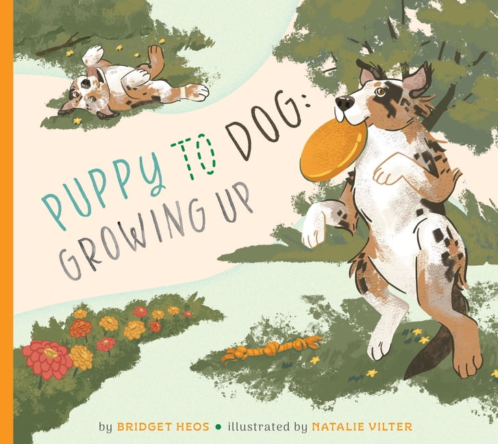 Puppy to Dog: Growing Up, (Paperback)