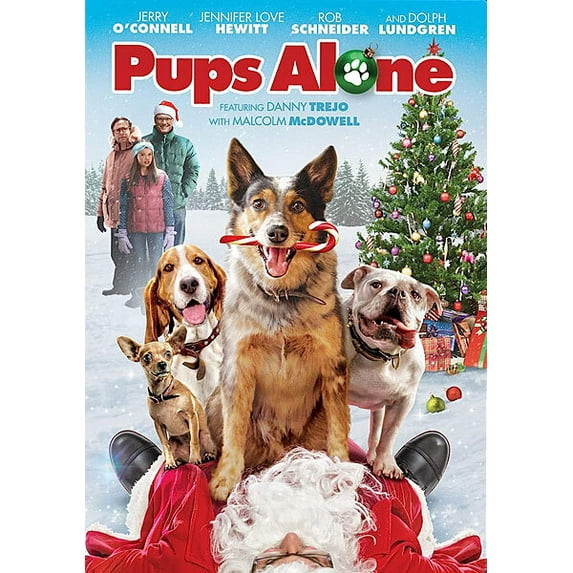 Pups Alone (DVD), Paramount, Kids & Family
