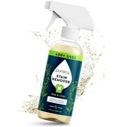Puracy - Laundry Stain Remover Spray - Natural Spot Cleaner, Free & Clear, 12oz