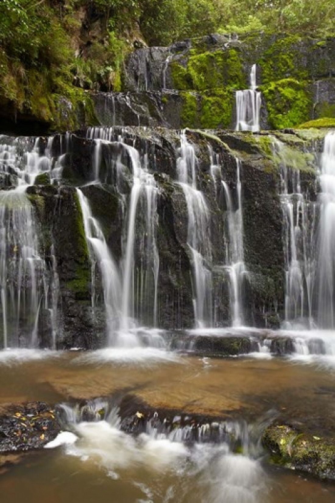 Purakaunui Falls Catlins South Island New Zealand Canvas Art - David Wall DanitaDelimont (24 x 36)