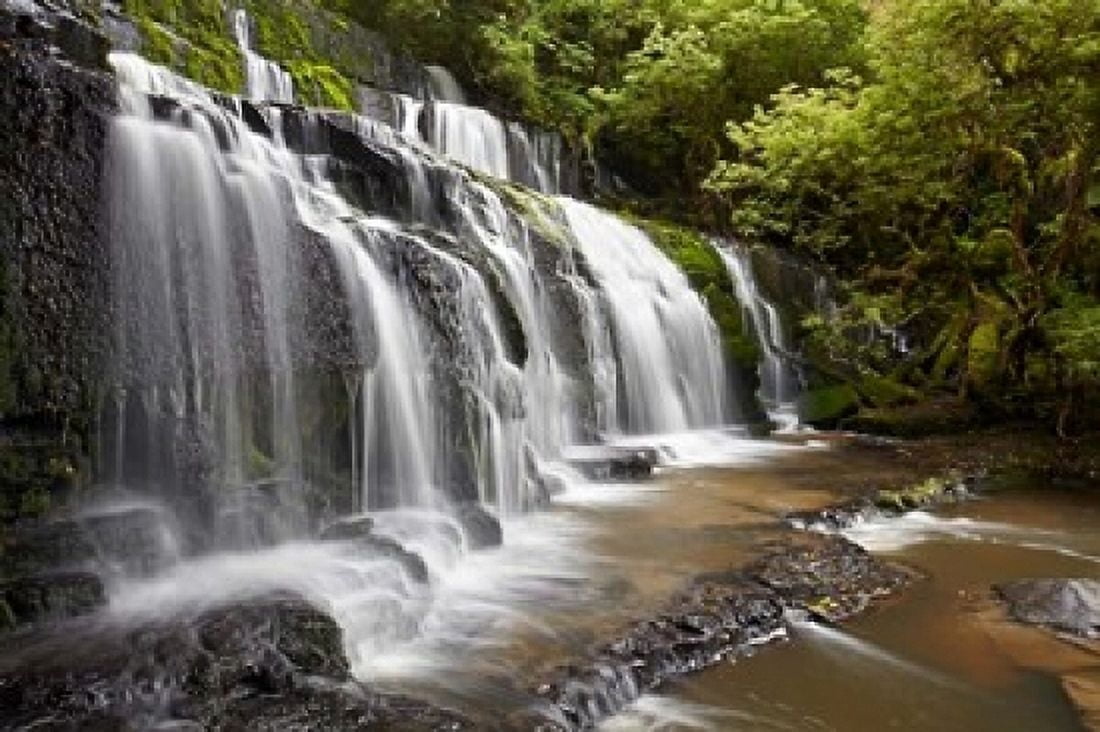 Purakaunui Falls Catlins South Otago South Island New Zealand Canvas Art - David Wall DanitaDelimont (36 x 24)