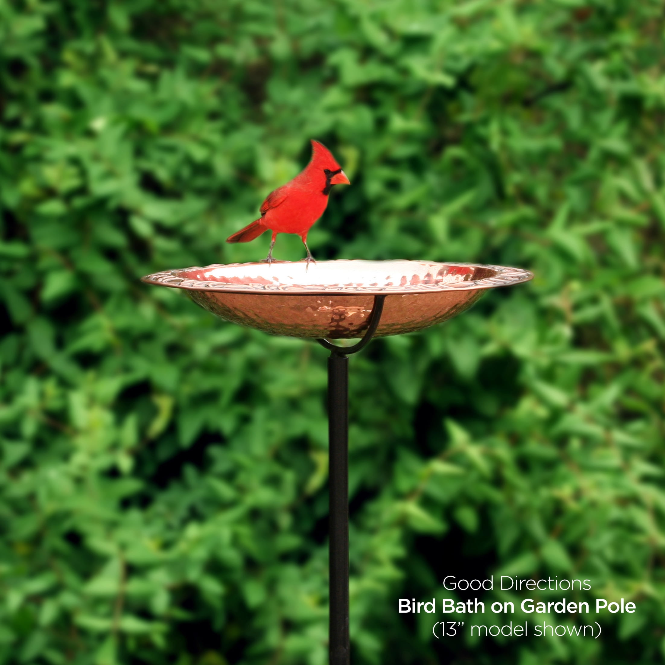 Pure Copper 18" Bird Bath with Garden Pole
