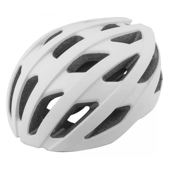 Pure Cycles Phoenix LG/XL 22-3/4 to 24in (58 to 61 cm) Matte White All Purpose