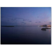 "Pure Elegance" Canvas Art by Monica Fleet