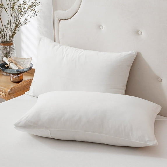 Pure Era 100% T-Shirt Jersey Knit Cotton Pillowcases Super Soft Breathable, Set of 2, Queen 20”x30”, Solid Off White