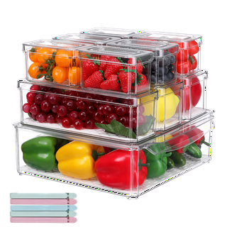 SPRING PARK Divided Veggie Tray with Lid Vegetable Storage Square Appetizer  Relish Serving Platter with 5/6 Compartment Snack Containers for Food Fruit  Small Refrigerator Organizer Bins Produce Saver 