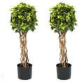 thumbnail image 1 of Pure Garden 2-Piece Single Ball Faux English Ivy Topiary Artificial Topiaries Set with Pots, 1 of 4