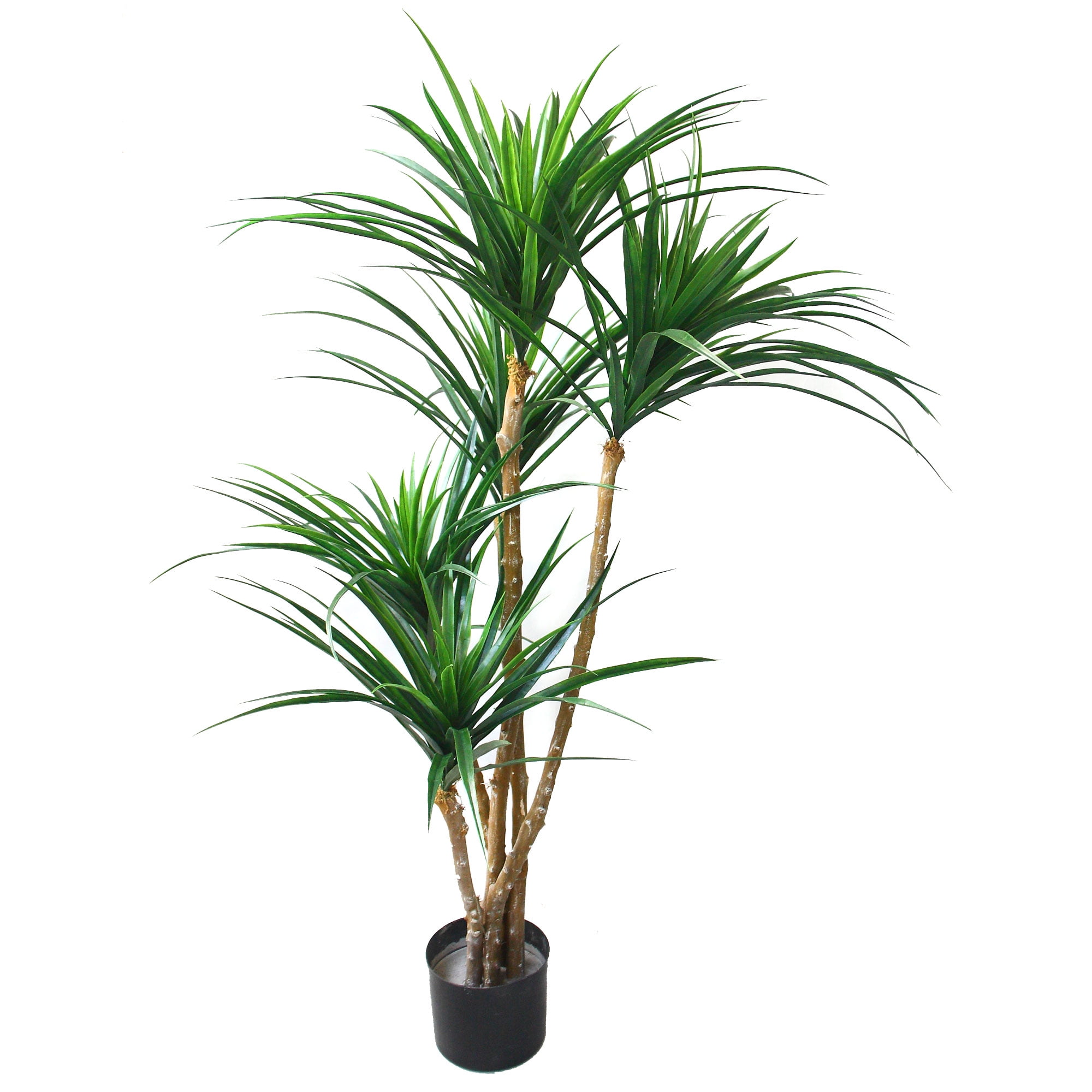 51" Green Tropical Yucana Artificial Tree in Black Plastic Pot