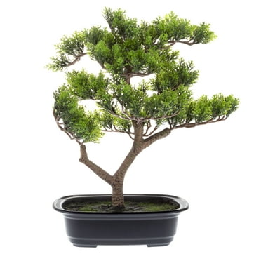 Pure Garden Faux Pine Bonsai Tree -14.5-inch Realistic Plastic Greenery and Ceramic Planter