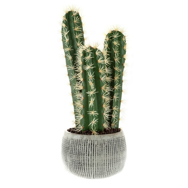 Fake cactus plant discount