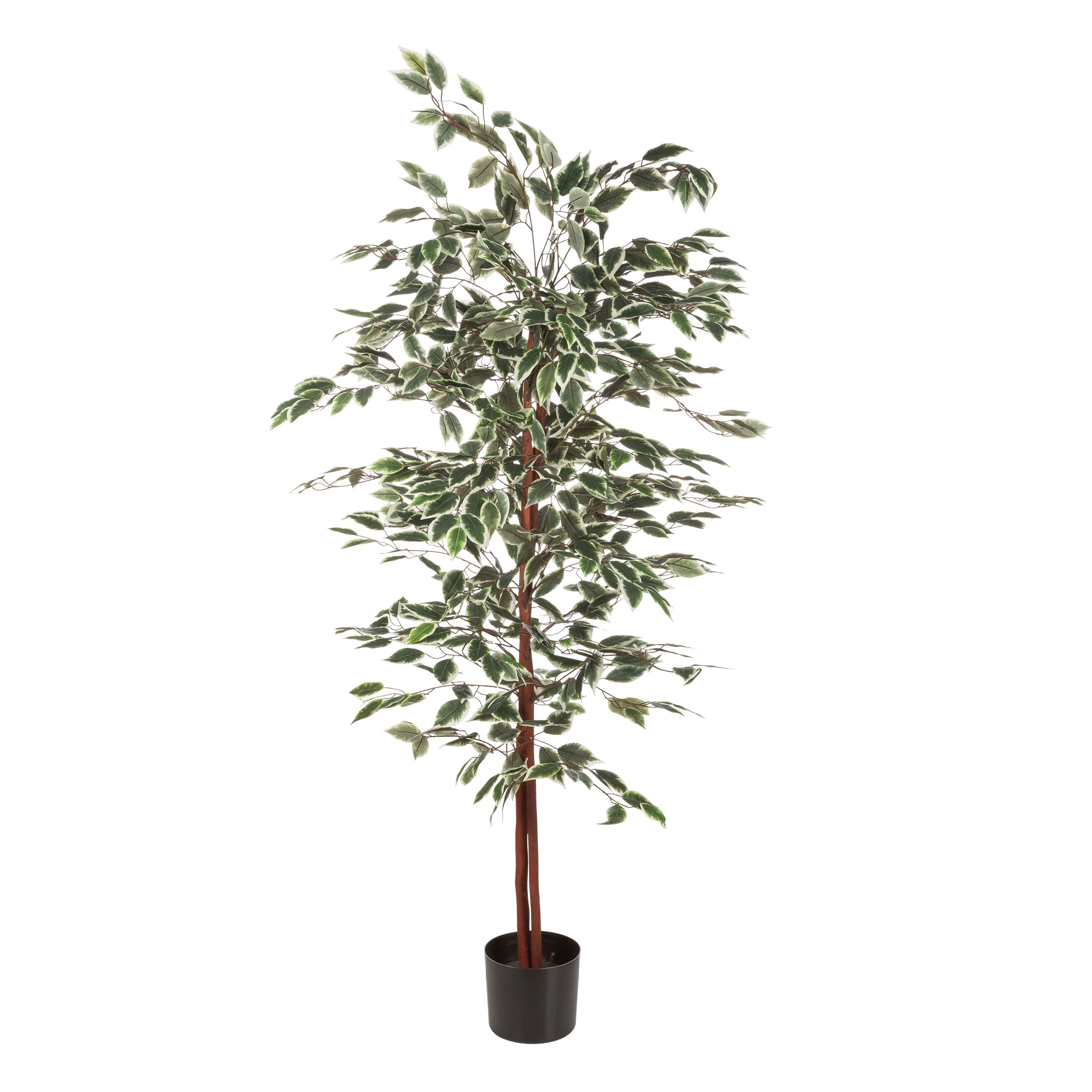 Pure Garden Ficus Artificial Tree - Realistic Faux Plant with Variegated Leaves and Natural Trunk - 5-Foot-Tall Topiary Decor for Indoor or Outdoor Use