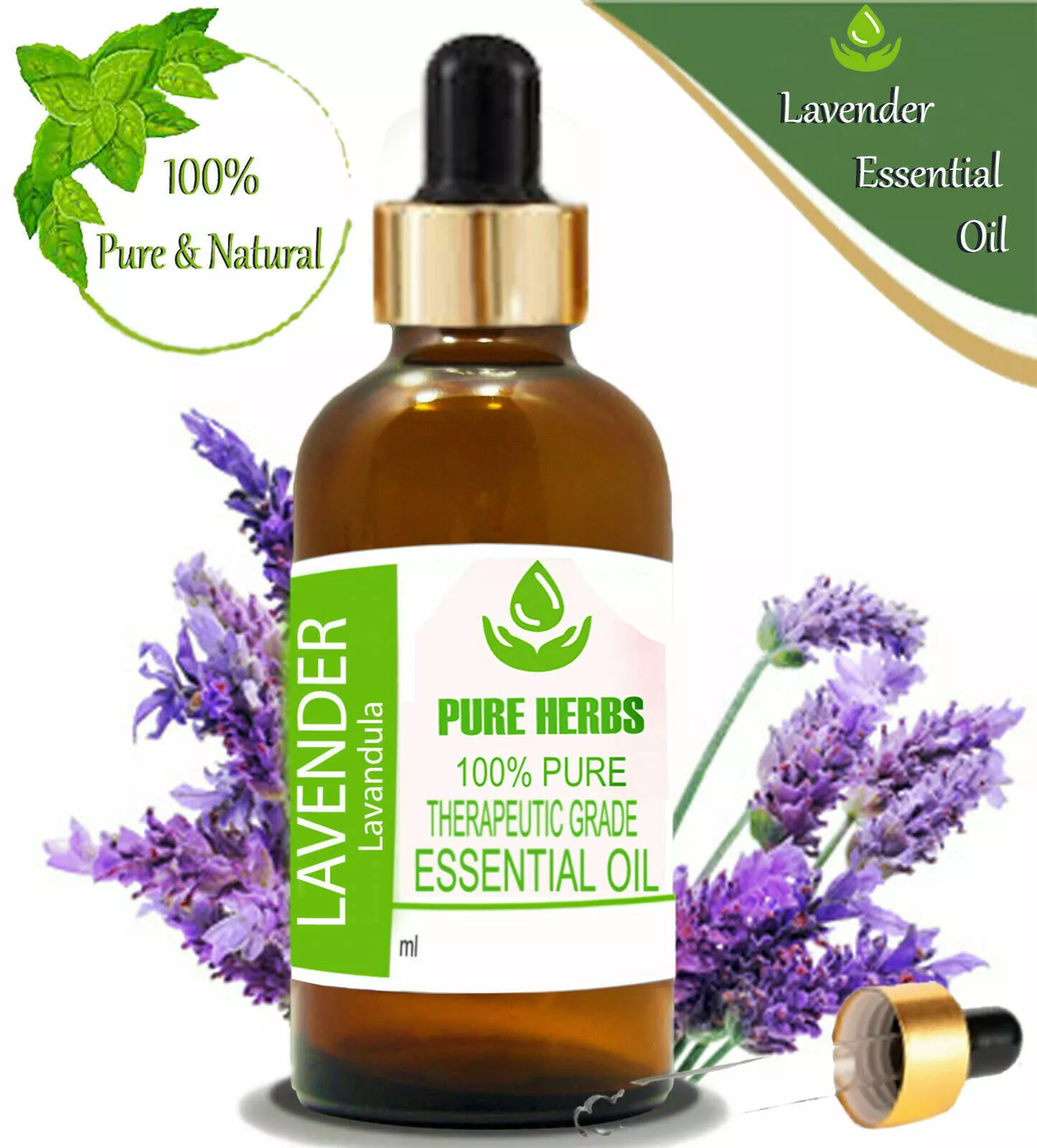 Pure Herbs Lavender/Lavandula Essential Oil