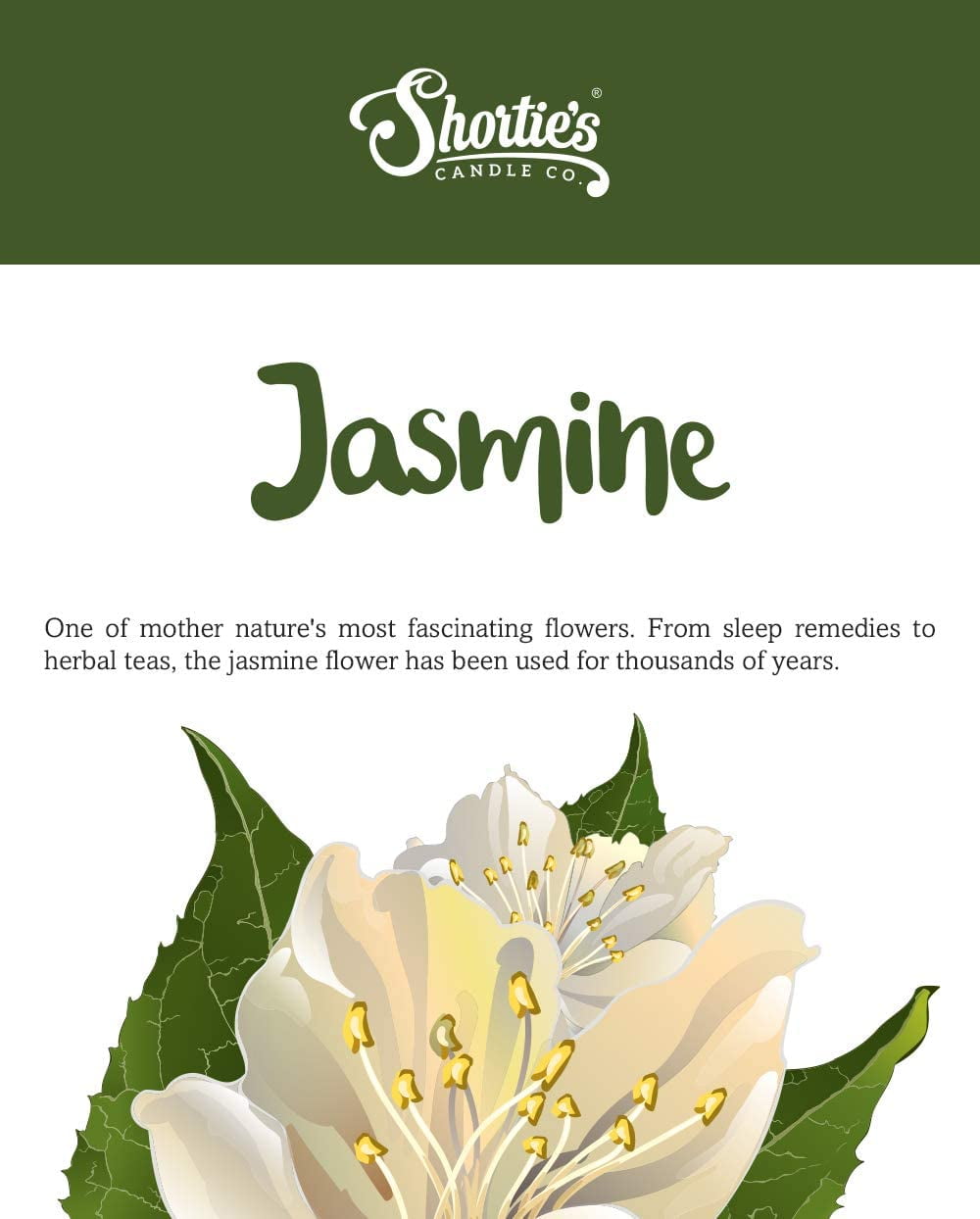 Pure Jasmine Highly Scented Natural 3 Wick Candle, Essential Fragrance