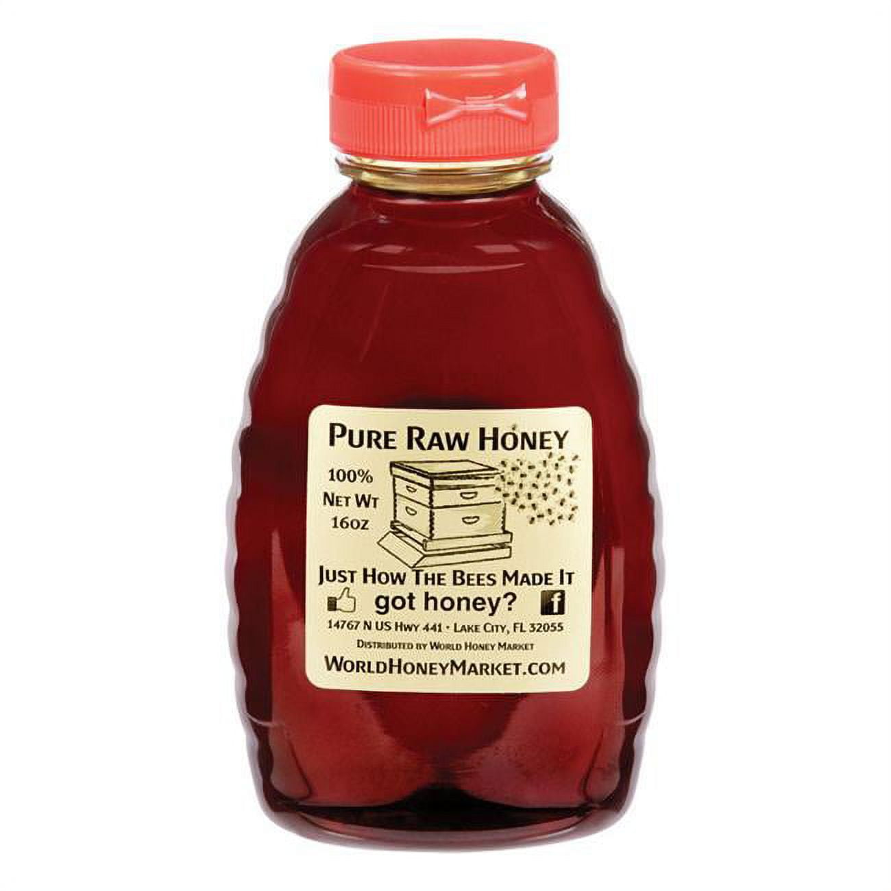 Pure Raw Honey 9374810 16 oz Bottle Florida Holly Honey Pack of 12