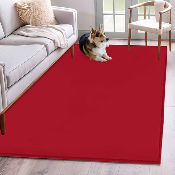 Pure Red Area Rugs 4'x6', Washable Small Throw Rugs for Office Bathroom, Simple Solid Color Indoor Outdoor Rug Non-Slip Low Pile Carpet Runner Reversible Floor Mats